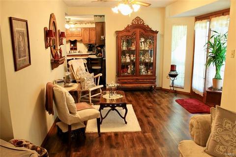 911 Parkway, Ballwin, MO 63011 photo 20