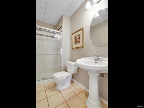 248 E Governor, Saint Charles, MO 63301 photo 32