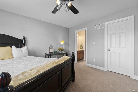 230 Irish Hound Dr, O'fallon, MO 63368 photo 20