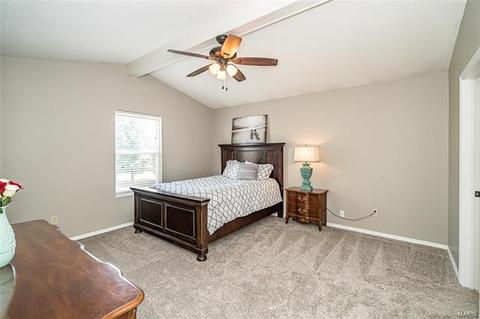 5 Briarmist, O'fallon, MO 63366 photo 4
