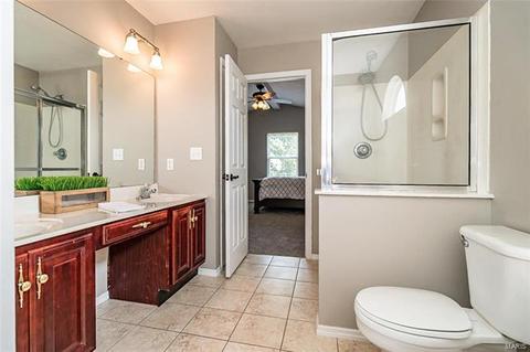 5 Briarmist, O'fallon, MO 63366 photo 11