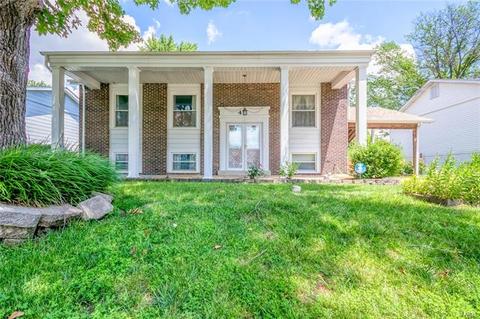 411 Palermo Dr, Ballwin, MO 63021 photo 1