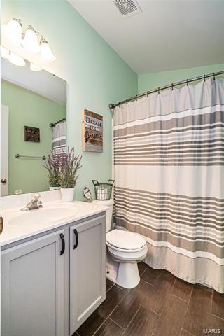 7319 Cinnamon Teal Dr, O'fallon, MO 63368 photo 14