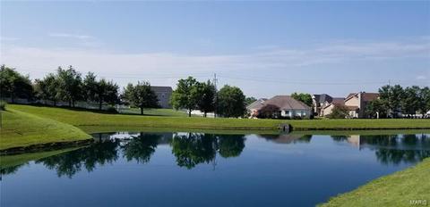 75 Moss Glen Ct, O'fallon, MO 63368 photo 49