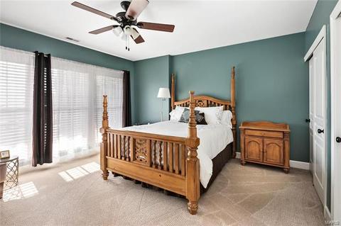 3799 Dyer Rd, O'fallon, MO 63366 photo 46