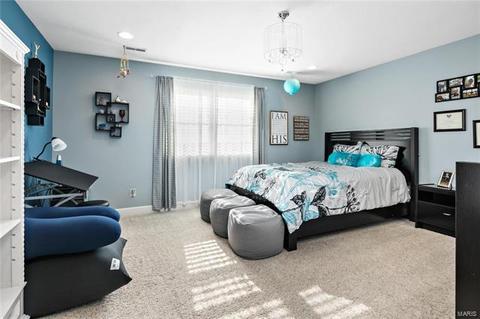 3799 Dyer Rd, O'fallon, MO 63366 photo 36