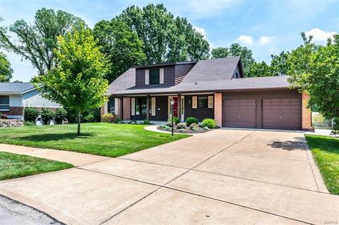 302 Wildbrier, Ballwin, MO 63011 photo 45
