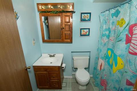 1333 Trading Post, O'fallon, MO 63366 photo 32