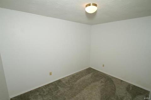 1333 Trading Post, O'fallon, MO 63366 photo 25