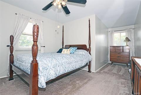 689 Walnut Point Ct, Ballwin, MO 63021 photo 15