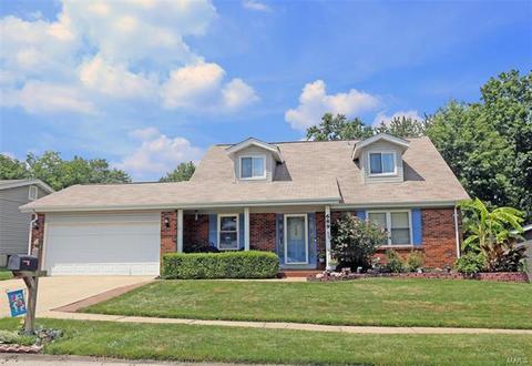 689 Walnut Point Ct, Ballwin, MO 63021 photo 1