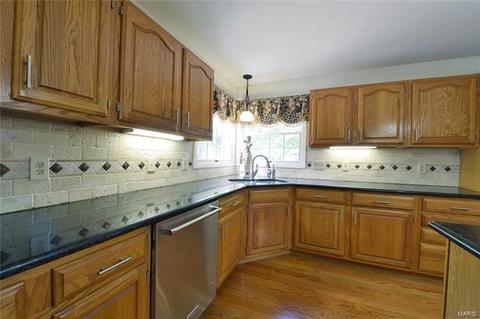 1646 Carman Manor Ct, Manchester, MO 63021 photo 11