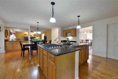 1646 Carman Manor Ct, Manchester, MO 63021 photo 10