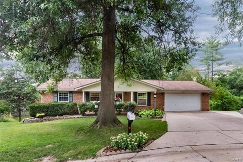 11585 Birchstone Dr, Bridgeton, MO 63044 photo 19