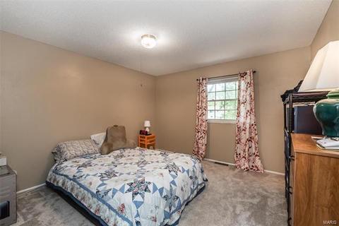11585 Birchstone Dr, Bridgeton, MO 63044 photo 5