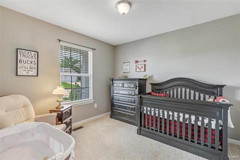 45 W Park Dr, O'fallon, MO 63366 photo 25