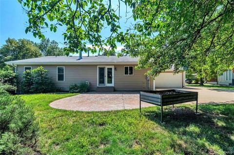 103 Lea Meadows Dr, Ballwin, MO 63011 photo 21