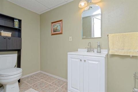 138 Hollyleaf, Ballwin, MO 63021 photo 31