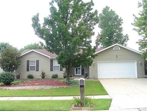 867 Molloy Dr, O'fallon, MO 63366 photo 1