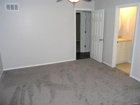 867 Molloy Dr, O'fallon, MO 63366 photo 15