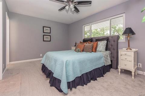 419 Iron Warrior Ln, Manchester, MO 63011 photo 16