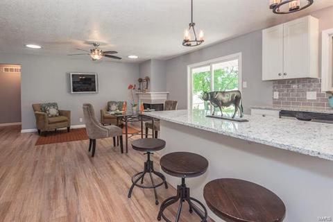 419 Iron Warrior Ln, Manchester, MO 63011 photo 11