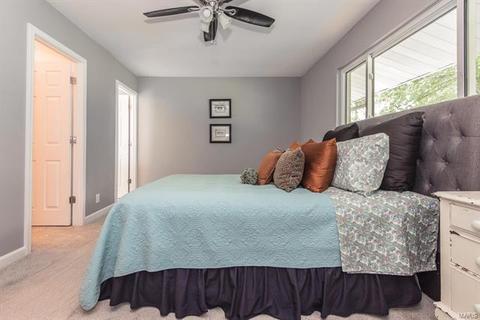 419 Iron Warrior Ln, Manchester, MO 63011 photo 17