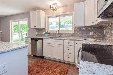 419 Iron Warrior Ln, Manchester, MO 63011 photo 9