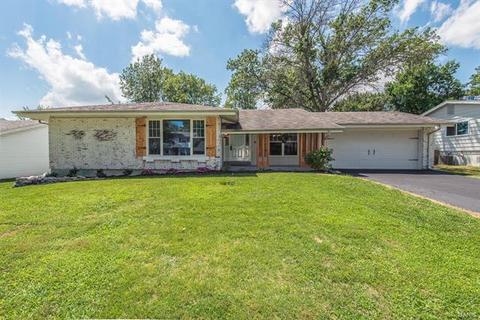 419 Iron Warrior Ln, Manchester, MO 63011 photo 1