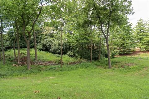 653 Wolfrum Rd, Weldon Spring, MO 63304 photo 35