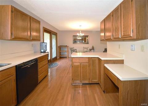 21 Muir St, Eureka, MO 63025 photo 13