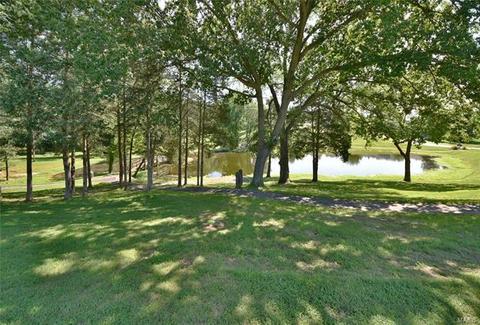 21 Muir St, Eureka, MO 63025 photo 48
