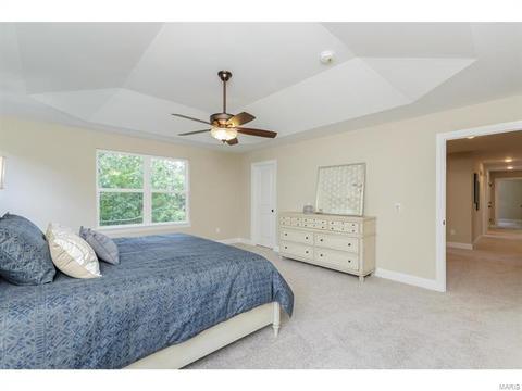 259 Stonewall Dr, Eureka, MO 63025 photo 40