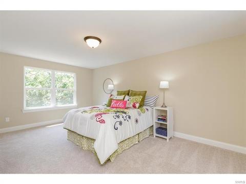 259 Stonewall Dr, Eureka, MO 63025 photo 45