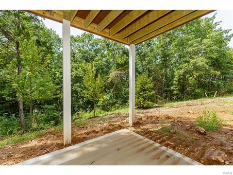 259 Stonewall Dr, Eureka, MO 63025 photo 55