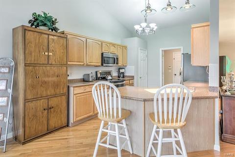 1161 Spring Orchard Dr, O'fallon, MO 63368 photo 9