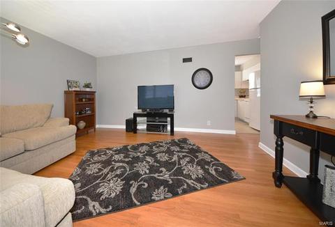 440 Bush Dr, Ballwin, MO 63021 photo 8