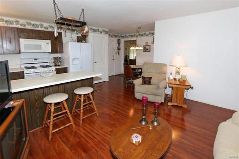 437 Sorrento Dr, Ballwin, MO 63021 photo 21
