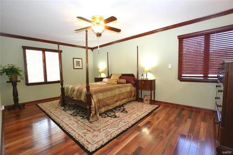 970 Century Oaks Dr, Manchester, MO 63021 photo 14