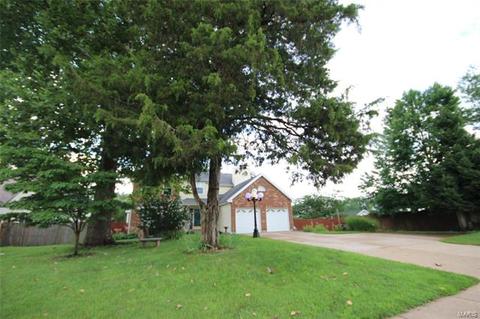 918 Sulphur Spring Rd, Manchester, MO 63021 photo 27