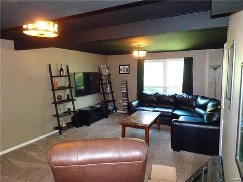 1016 Trianon, Ballwin, MO 63011 photo 13