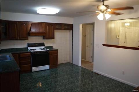 1186 Haven View Cir, O'fallon, MO 63366 photo 4