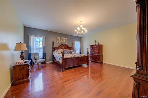 17 Wind Hill Ct, O'fallon, MO 63368 photo 28