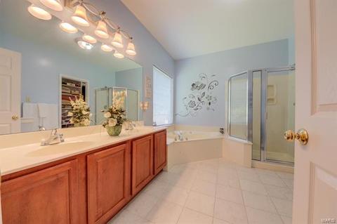 17 Wind Hill Ct, O'fallon, MO 63368 photo 32