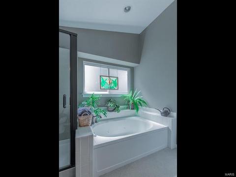 433 Dana Meadows Dr, Ballwin, MO 63021 photo 22