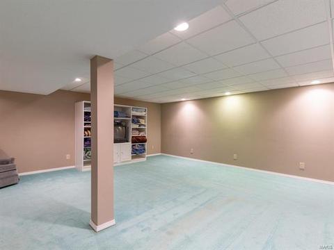 433 Dana Meadows Dr, Ballwin, MO 63021 photo 30