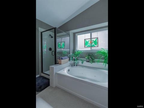 433 Dana Meadows Dr, Ballwin, MO 63021 photo 21