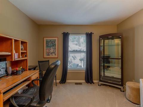 433 Dana Meadows Dr, Ballwin, MO 63021 photo 26