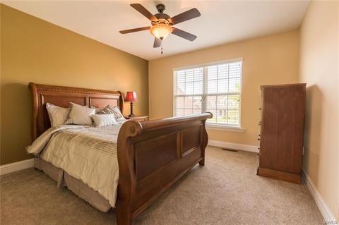 920 Bentley Park Cir, O'fallon, MO 63368 photo 14