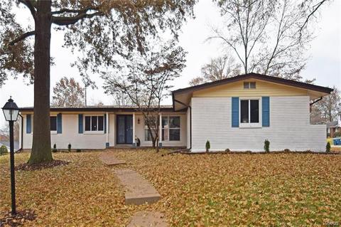 839 Woodruff Dr, Ballwin, MO 63011 photo 31